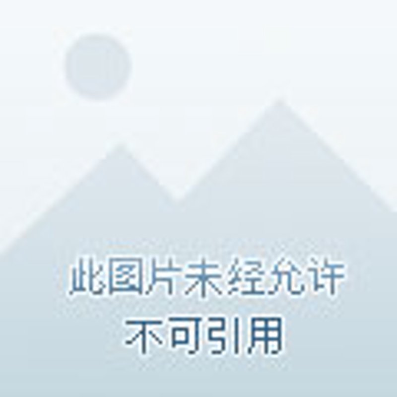 APP定制：如何选择最适合您的方案